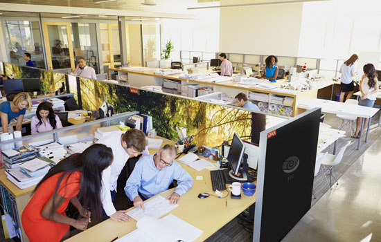 Kantoor scheidingswand