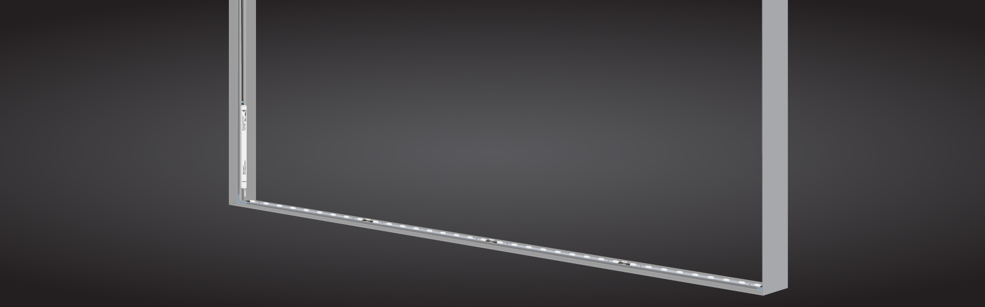 Lightbox double 100 rontgen