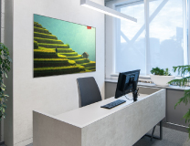 opvallende omlijsting